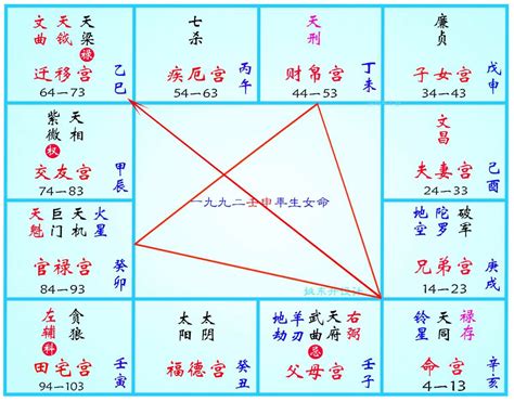 紫微斗數五行 新加坡风水师